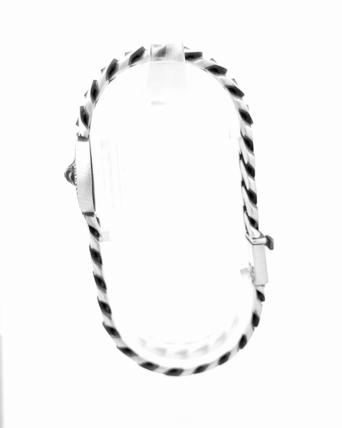 Lion Crest Medallion Bracelet 2